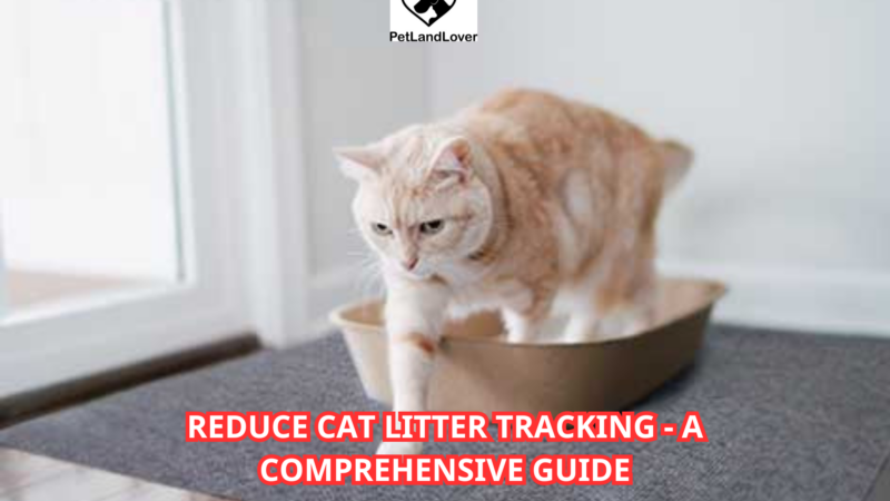 Reduce Cat Litter Tracking – A Comprehensive Guide