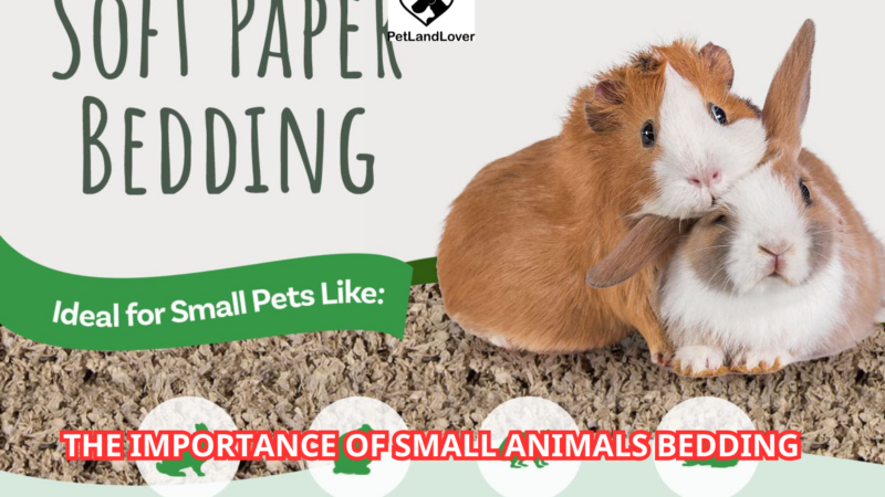 The Importance of Small Animals Bedding