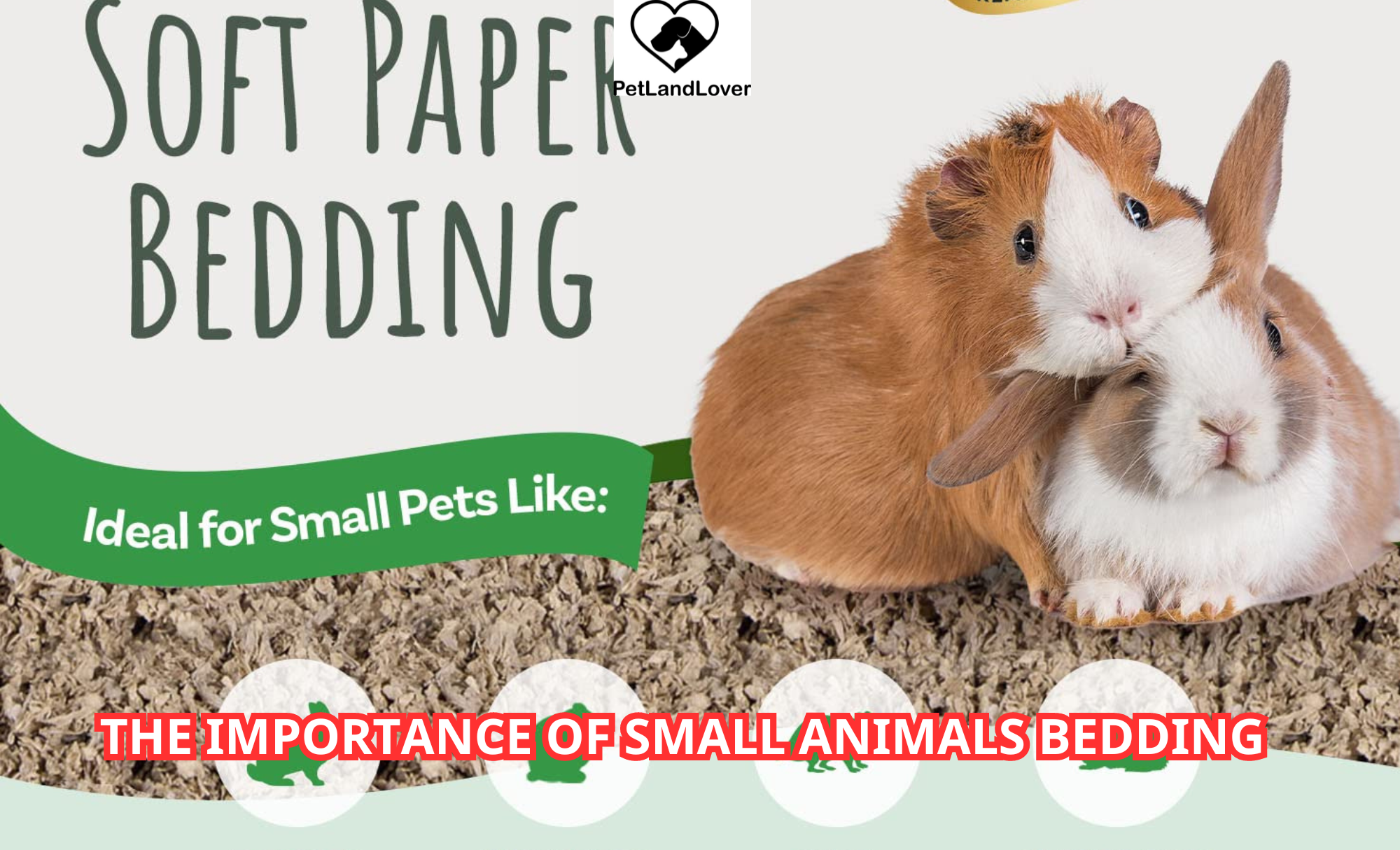 The Importance of Small Animals Bedding