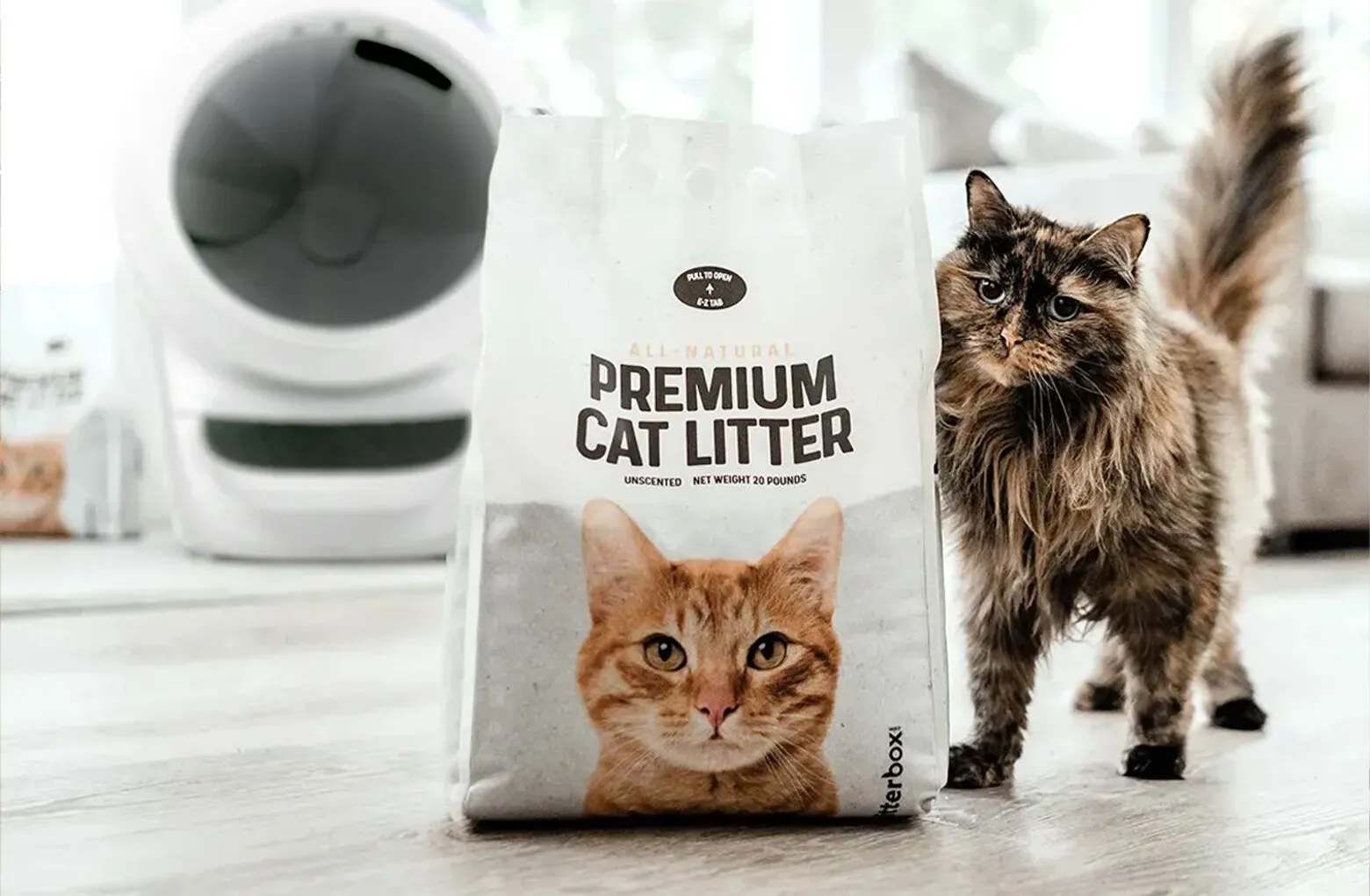 special kitty natural clay litter