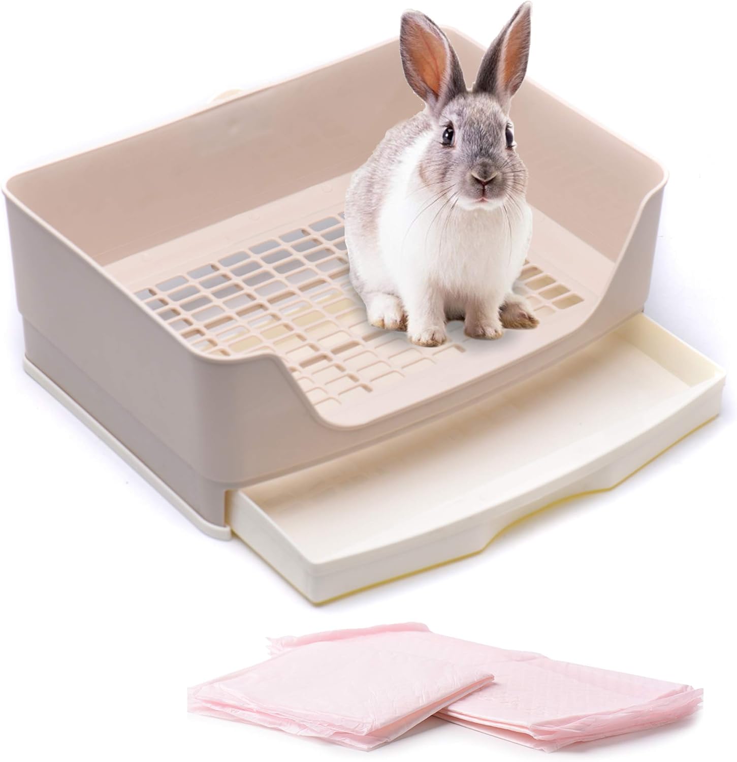 how to train a rabbit to use a litter tray