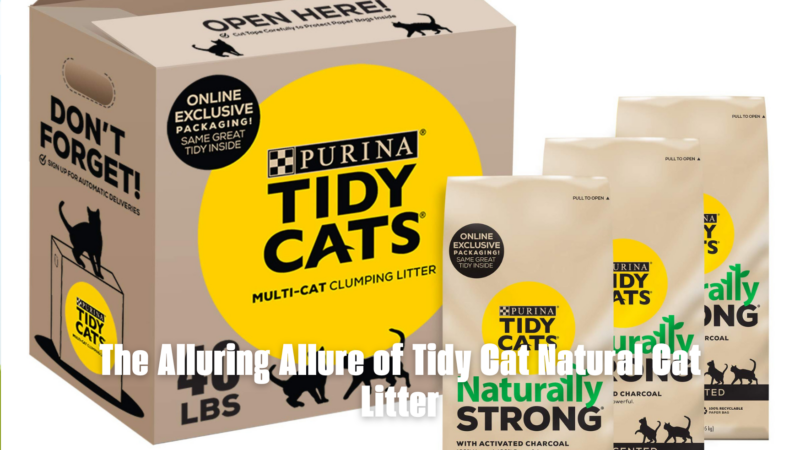 The Alluring Allure of Tidy Cat Natural Cat Litter