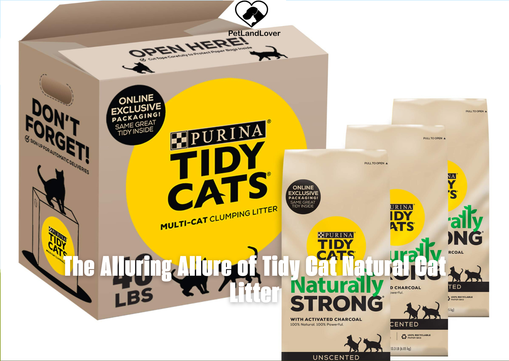 The Alluring Allure of Tidy Cat Natural Cat Litter