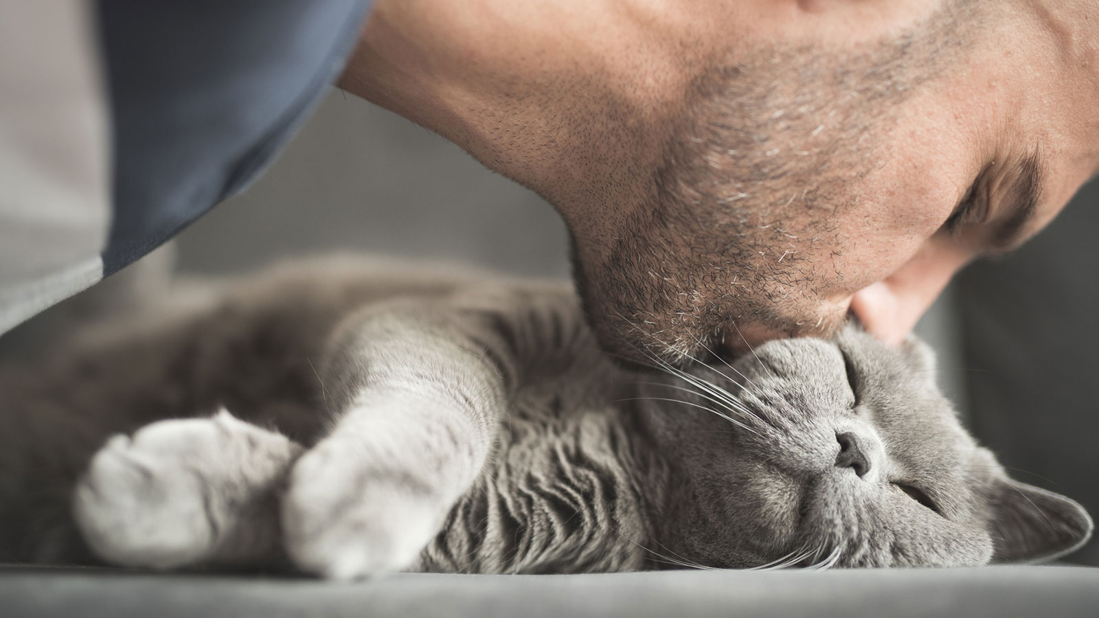 why do cats blink slowly at you