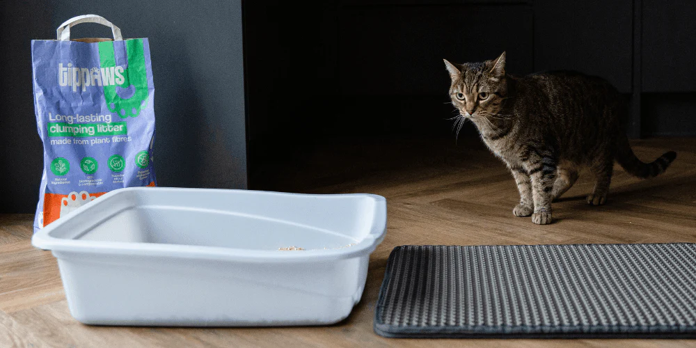 Assessing the Composition of Cat Litter