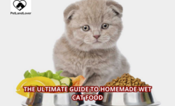 The Ultimate Guide to Homemade Wet Cat Food