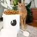 cat food storage