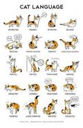 cat tail behavior