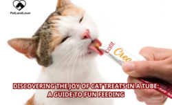 Discovering the Joy of Cat Treats in a Tube: A Guide to Fun Feeding