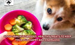 Good Snacks for Dogs: Healthy Treats to Keep Your Pup Happy and Energized