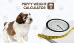 how big will my puppy get calculator