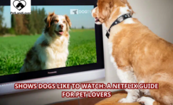 Shows Dogs Like to Watch: A Netflix Guide for Pet Lovers