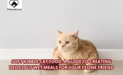 Soft Kibble Cat Food: A Guide to Creating Delicious Wet Meals for Your Feline Friend